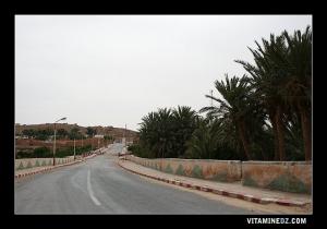 مدخل بلدية  عسلة  (1)