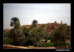 القصر القديم لبلدية  عسلة