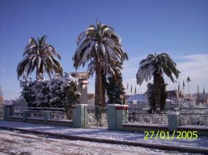 JARDIN CENTRAL DE BEN BADIS