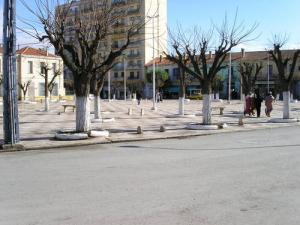 Une Allée de Sidi Belabbes