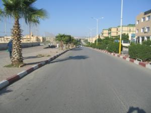 Une Allée de Sidi Belabbes