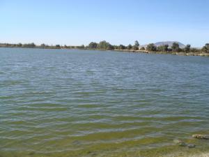 Lac Sidi Med Benali (Sidi Bel Abbes)