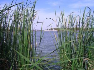 Vue sur le Lac de Sidi Mohamed Ben Ali