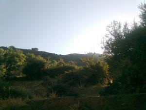 Depuis la source D'eau,le sommet du Mont Tessala