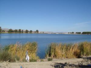 Au Bord du Lac de Sidi Mohamed Benali