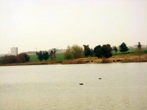 Vue sur le nouveau campus universitaire de puis le lac Sidi Mohamed Ben Ali (Sidi Belabbes)