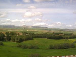 Vue sur les Prairies de la commune de Sidi Hamadouche