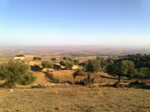 La plaine de Sidi Bel Abbes,depuit le mont Téssala