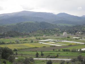 منظر من مدينة  جمعة بني حبيبي  1