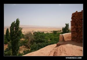 منظر من ضواحي شلالة ڨبلية