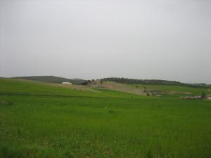 الحقول الخضراء لبلدية  دريعة