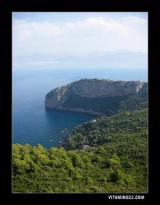 صورة من رأس الكربون