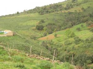 منظر طبيعي بمنطقة  طالة واڨمون  (بلدية إغرام) 1