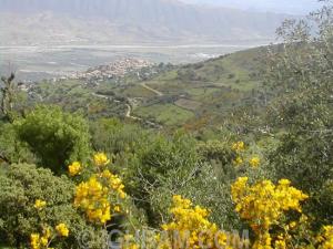 منظر طبيعي بضواحي قرية  إغيل أومساد  (ولاية بجاية)