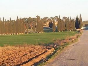 Paysage aux alentours de Sidi Belabbes