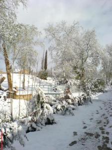 La commune de Telagh sous la Neige
