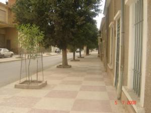 Une allée de Telagh