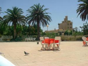 Jardin Public de Telagh