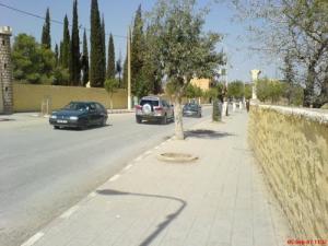 Telagh- Route vers Saida