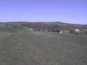 الحرضي الفلاحية لغا'لة حربي المنطقة المسماة لحمامص رمضان جمال