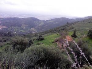 Les forêts qui entourent la ville de Annaba