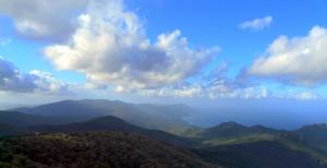 Verdure sur les Montagnes de Annaba