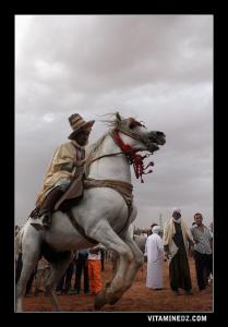 أحد فرسان وعدة سيد الشيخ 1