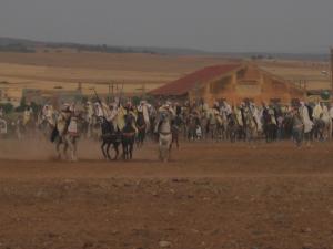 مهرجان فلكلوري بوعدة بلدية  طابية