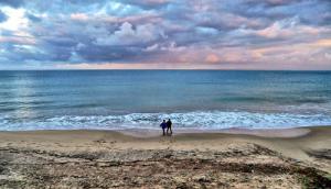 plage de Ain Achir (Wilaya de Annaba)