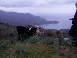 En venant de Seraydi