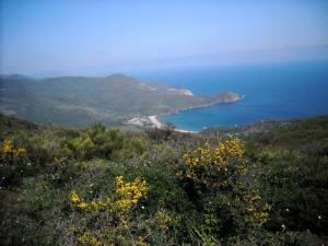 La Côte de Annaba