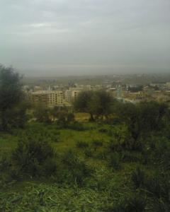 Vue d'ensemble sur la commune de Berrahal