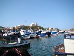 Vue du port de péche ( Annaba )