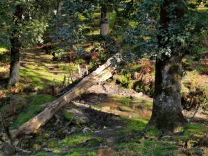 Alentours de Seraidi