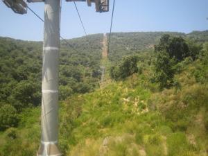 Vue sur les Forêts de Annaba depuis une cabine de téléphérique