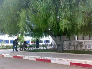 Centre ville de Annaba