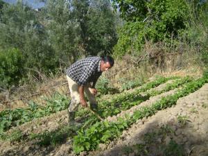 الفلاحة على الجبال (1)