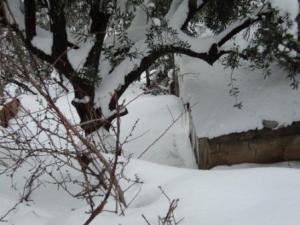 Bouzelatène sous la neige