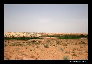 صورة لمنطقة وادي الكريمة ببلدية عرباوت