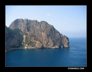 صورة رائعة لرأس الكربون