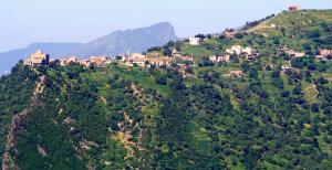 منظر من قرية 