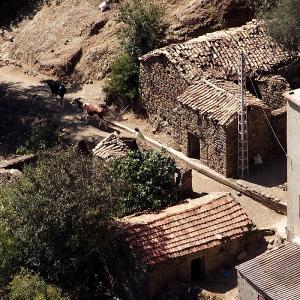 منظر من قرية 