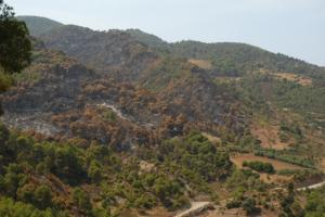 الكارثة الطبيعية التي أصابت غابات  دوار قلاوشة  2