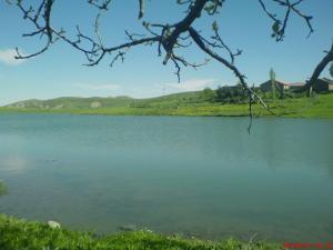 بلدية  دراڨ  في فصل الربيع 1