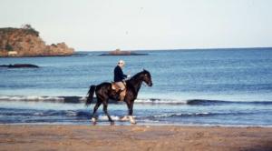 Annaba_1964_Cavalier