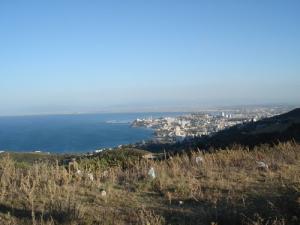 AU SECOURS ,LES SACHETS EN PLASTIQUE ENVAHISSENT LA NATURE A HAUTE ALTITUDE