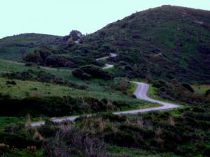 Une route au milieu de la verdure de Annaba