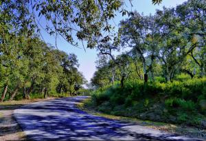 La Route vers Seraidi