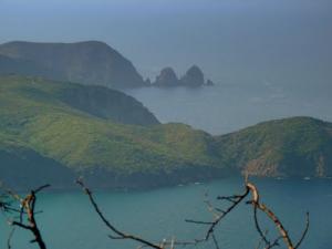 Verdure et Bleu de Mer se conjuguent bien à Annaba