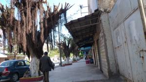 Avenue Principale du Village